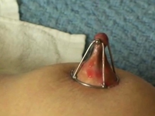 Nipple clamps and...