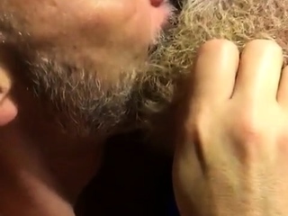 Hairy bears passionate kissing...