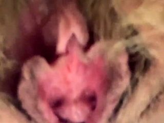 Amateur hairy girl masturbation webcam close up