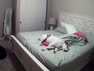 Hot amateur hidden cam