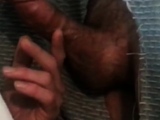 Amateur Glory Hole Blowjob with Big Cock