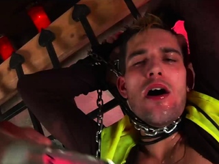 The Boss 2