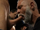 Hot Daddies Cock Party Chaos