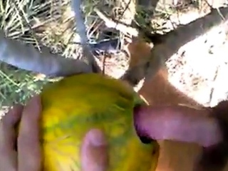Outdoor Melon Play