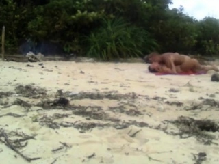 Beach Love Motion Outdoor Amateur Fun