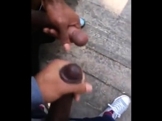 Black amateurs stroke big cocks outdoors