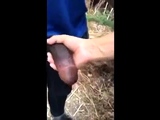 Black Cock Masturbation Solo